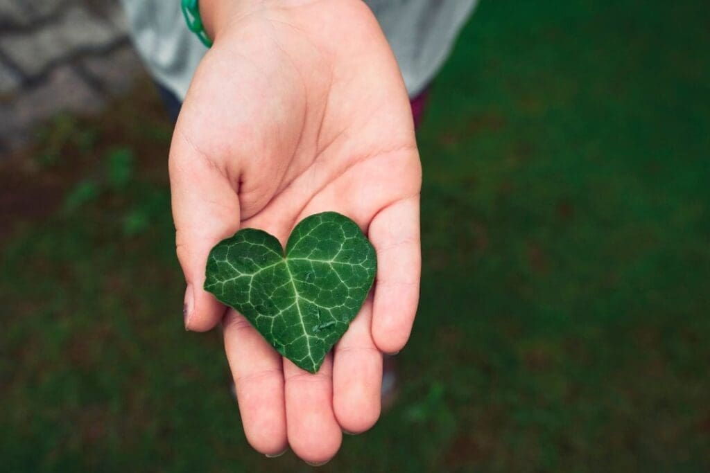 A hand holding a heart-shaped green leaf, symbolizing grounding, reconnecting with nature, and promoting better health through natural practices.
