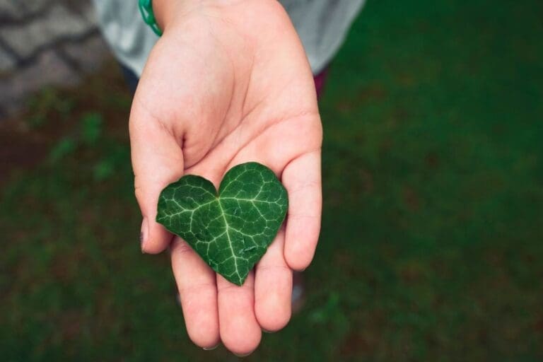 A hand holding a heart-shaped green leaf, symbolizing grounding, reconnecting with nature, and promoting better health through natural practices.