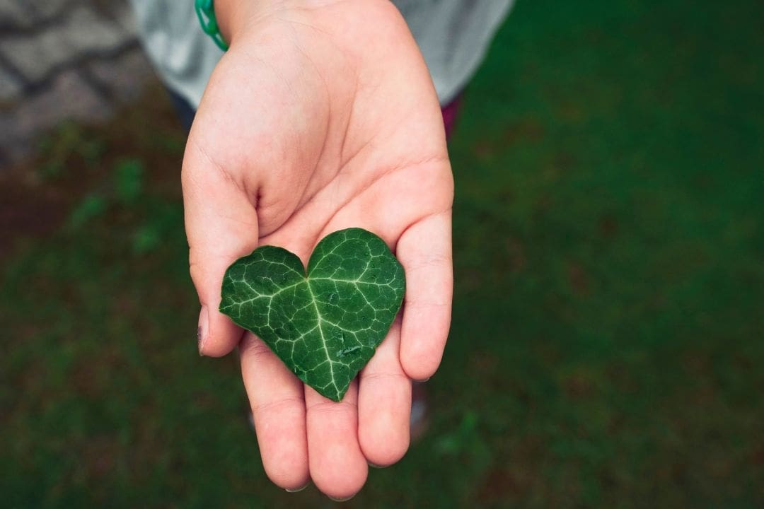 A hand holding a heart-shaped green leaf, symbolizing grounding, reconnecting with nature, and promoting better health through natural practices.