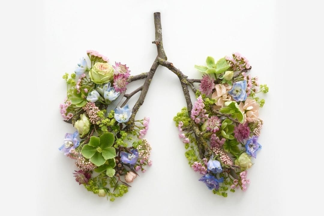 Floral lungs made from branches and flowers, symbolizing the benefits of nose breathing for lung health and oxygen flow.